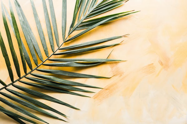 Foto Hintergrund5